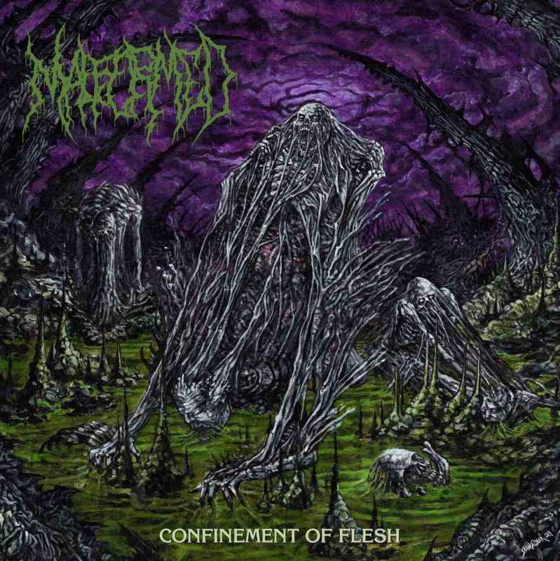 MALFORMED - Confinement of Flesh CD